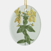 Gefühl-Reichweite (Hypericum quartinianum) (w/c Keramik Ornament (Rechts)