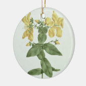Gefühl-Reichweite (Hypericum quartinianum) (w/c Keramik Ornament (Links)
