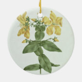 Gefühl-Reichweite (Hypericum quartinianum) (w/c Keramik Ornament (Hinten)