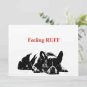 Gefühl Ruff (Stehend Vorderseite)