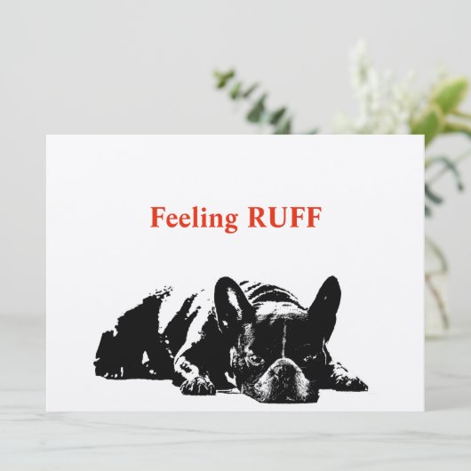 Gefühl Ruff (Stehend Vorderseite)