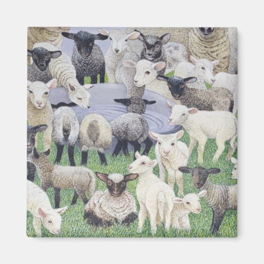 Gefühl Sheepish Magnet (Vorne)