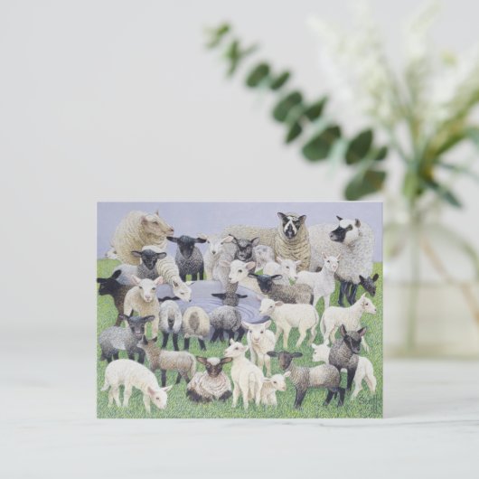 Gefühl Sheepish Postkarte (Stehend Vorderseite)