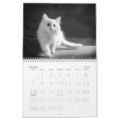 Gefühlvolle Augen der Katze Kalender (Mär 2027)