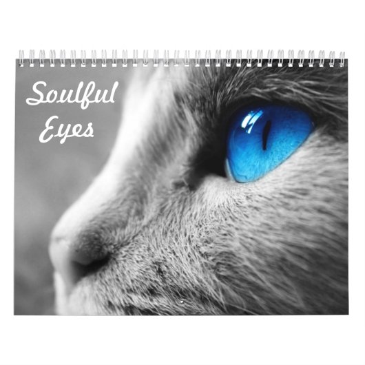 Gefühlvolle Augen der Katze Kalender (Titelbild)