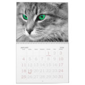 Gefühlvolle Augen der Katze Kalender (Jan 2026)