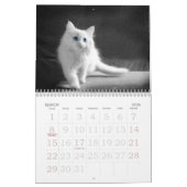 Gefühlvolle Augen der Katze Kalender (Mär 2026)