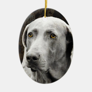 Gefühlvolle Augen des Weimaraner Keramikornament
