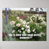 gefüllt mit perfektem Moments Garden Blume Poster (Vorne)