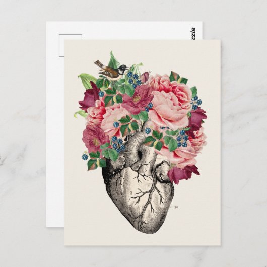 Gefüllt mit überfließendem anatomischem Herzen Postkarte (Vorne/Hinten)