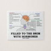 Gefüllt zum Rand mit Hormon-medizinischem Spaß Puzzle (Horizontal)