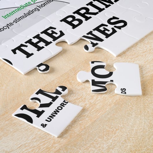 Gefüllt zum Rand mit Hormon-medizinischem Spaß Puzzle (Seite)