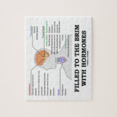 Gefüllt zum Rand mit Hormon-medizinischem Spaß Puzzle (Vertikal)