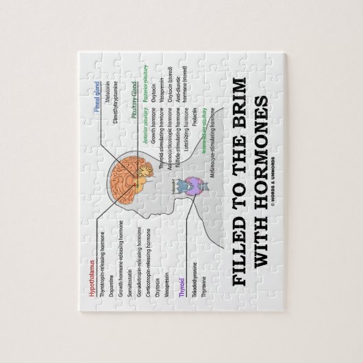 Gefüllt zum Rand mit Hormon-medizinischem Spaß Puzzle (Vertikal)