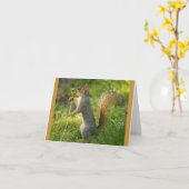 Gefundenes Eichhörnchen mit Löwenzahnbild Karte (Gelbe Blume)