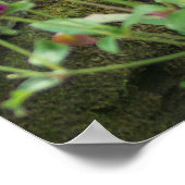 Gefüttert Frühjahr Poster (Ecke)