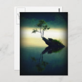 Gegen alle Odds - Schöne Baumfotografie Postkarte (Vorne/Hinten)