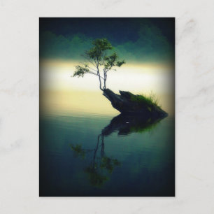 Gegen alle Odds - Schöne Baumfotografie Postkarte