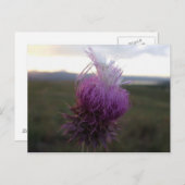 Gegen das Getreide Postkarte (Vorne/Hinten)