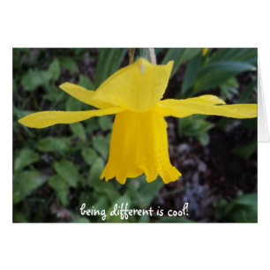 Gegen das Korn ist OKAY