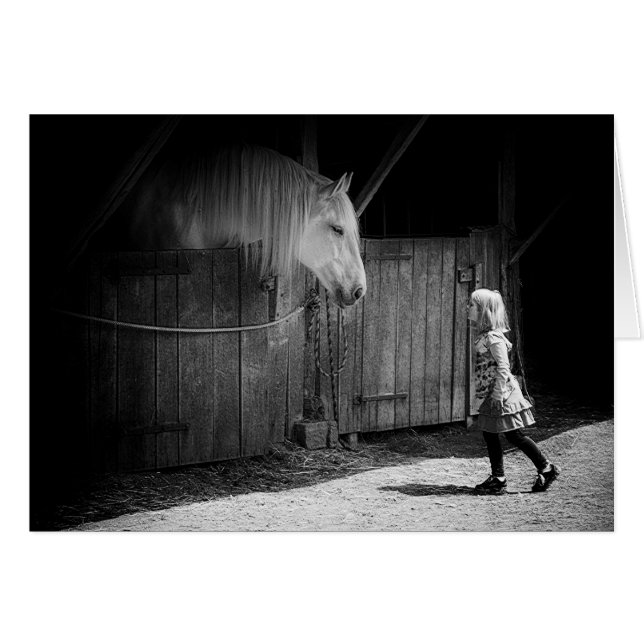 Gegenseitige Neugier (Vorderseite (Horizontal))