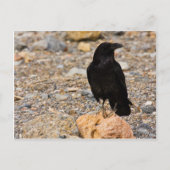 Gegenseitige Neugier Postkarte (Vorderseite)