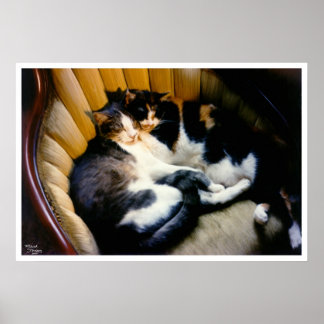 Gegenseitige Unterstützung Poster