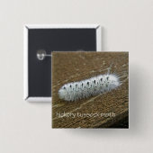 Gegenstände der Hickory Tussock Moth (Lophocampa c Button (Vorne & Hinten)