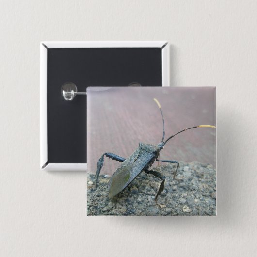 Gegenstände des erwachsenen schwarzen Assassin-Feh Button (Vorne & Hinten)