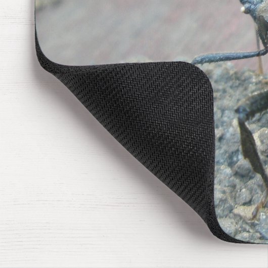 Gegenstände des erwachsenen schwarzen Assassin-Feh Mousepad (Ecke)