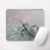 Gegenstände des erwachsenen schwarzen Assassin-Feh Mousepad (Mit Mouse)