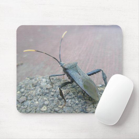 Gegenstände des erwachsenen schwarzen Assassin-Feh Mousepad (Mit Mouse)