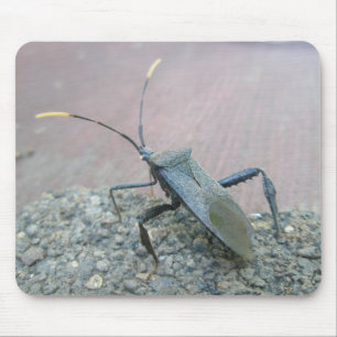 Gegenstände des erwachsenen schwarzen Assassin-Feh Mousepad