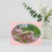 Gegenstände von Ailanthus Webworm Moth (Atteva pun Postkarte (Stehend Vorderseite)