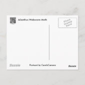 Gegenstände von Ailanthus Webworm Moth (Atteva pun Postkarte (Rückseite)