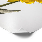 Gegenüber der Sonne Fotodruck (Ecke)