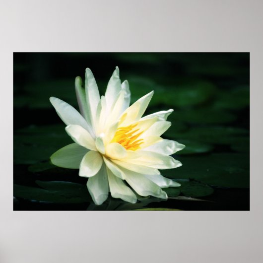 Gegenüber der Sonne Poster (Vorne)