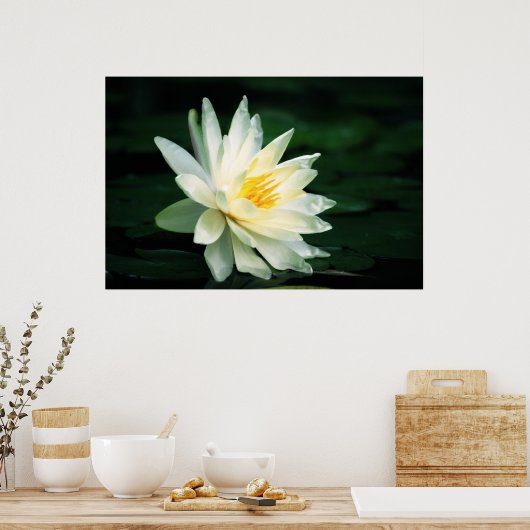 Gegenüber der Sonne Poster (Küche)