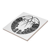 Gegenüber Langusten Dekorative Kacheln (Seite)