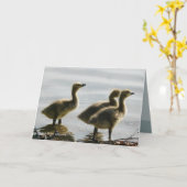 Gegenüberstellen des Lichtes Karte (Gelbe Blume)