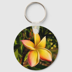 Gegenüberstellen des Sun Schlüsselanhänger