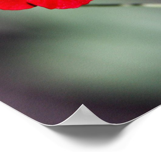 gegossen - rot poster (Ecke)