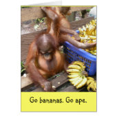 Geh Bananen. Go Ape (Vorne)