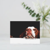 Geh bitte nicht! postkarte (Stehend Vorderseite)