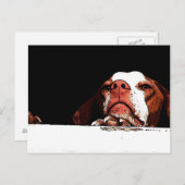 Geh bitte nicht! postkarte (Vorne/Hinten)