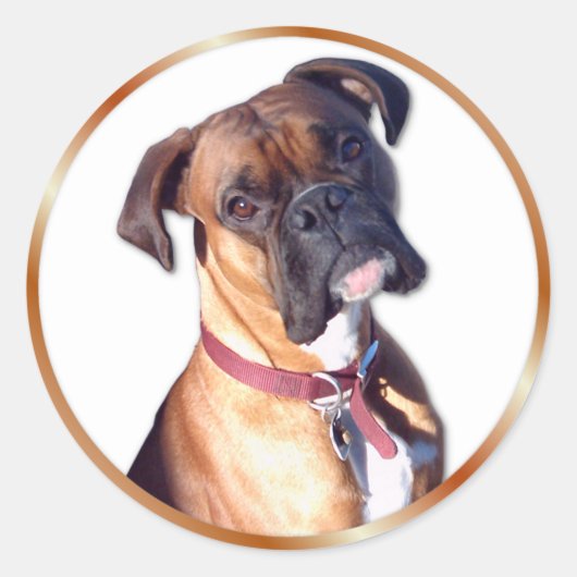 Geh nicht. runder aufkleber (Vorderseite)