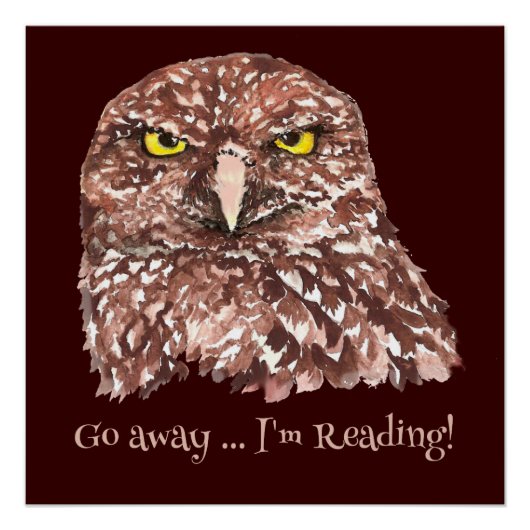 Geh weg, ich lese gerade! Grumpy Owl Spaß Zitat Poster (Vorderseite)