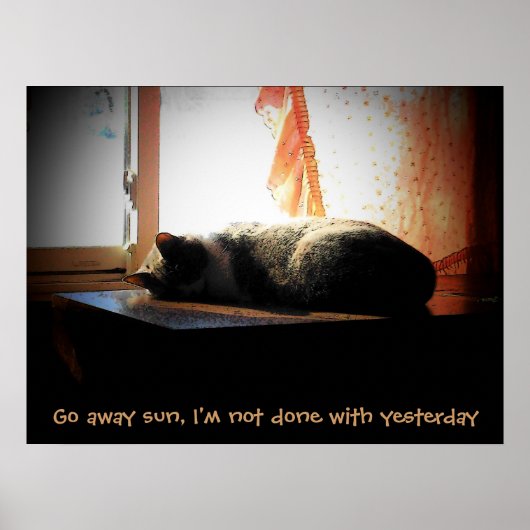 Geh weg Sonne - schlafende Katze Poster (Vorne)