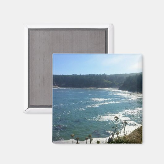 Gehäusebasis ODER Magnet (Vorderseite/Rückseite)