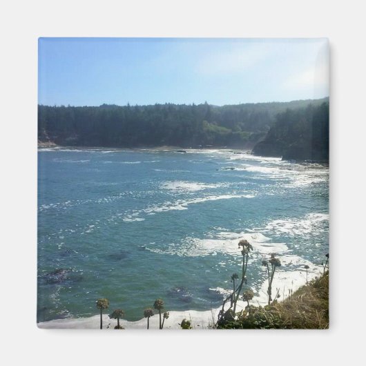 Gehäusebasis ODER Magnet (Vorne)